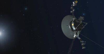 Аппараты "Вояджер" давно отправляют сигналы в космос: когда придет ответ от внеземного разума - focus.ua - Украина