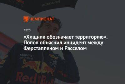 Максим Ферстаппен - Джордж Расселл - Алексей Попов - «Хищник обозначает территорию». Попов объяснил инцидент между Ферстаппеном и Расселом - championat.com - Азербайджан