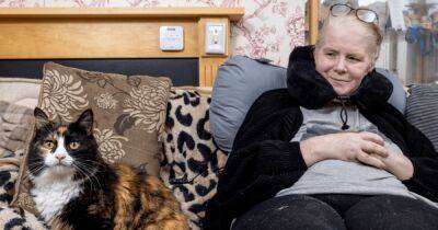 Кусала и прыгала: в Британии кошка спасла от комы хозяйку, страдающую диабетом (видео) - focus.ua - Украина - Англия - Великобритания