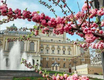 Погода в Одессе и области 2 мая: тепло днем и заморозки ночью - odessa-life.od.ua - Украина - Одесса