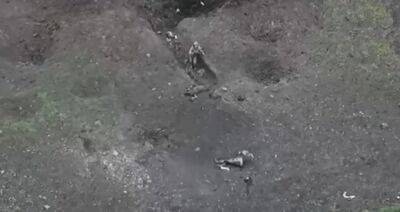 Бои за Бахмут – военнослужащий ВСУ рассказал, как дрон взял в плен оккупанта - видео - apostrophe.ua - Украина