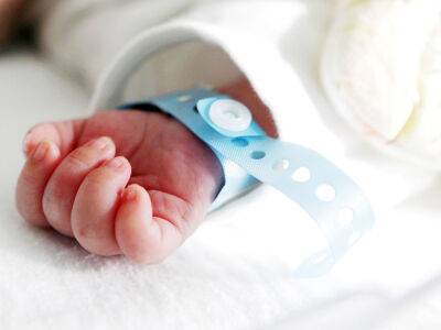 В Великобритании родился первый ребенок от трех родителей. Медики объяснили, зачем потребовался третий донор - gordonua.com - Украина - Англия - Мексика - Иордания - Великобритания