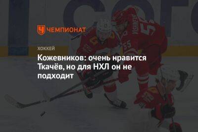 Владимир Ткачев - Александр Кожевников - Кожевников: очень нравится Ткачёв, но для НХЛ он не подходит - championat.com
