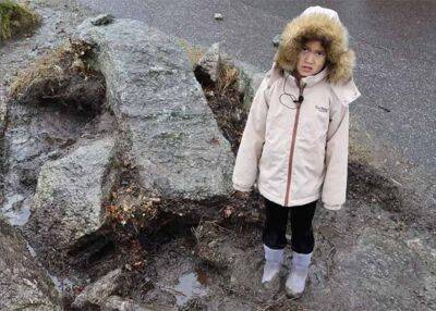 В Норвегии обнаружили каменный кинжал из Дании, которому 3700 лет – фото - apostrophe.ua - Норвегия - Украина - Дания