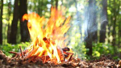 Можно ли разжигать огонь в 2023 году – что можно и запрещено - apostrophe.ua - Украина