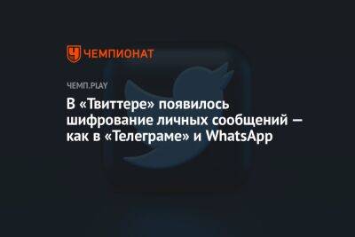Илон Маск - Павел Дуров - В «Твиттере» появилось шифрование личных сообщений — как в «Телеграме» и WhatsApp - championat.com - Twitter