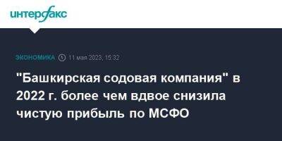 "Башкирская содовая компания" в 2022 г. более чем вдвое снизила чистую прибыль по МСФО - smartmoney.one - Москва - Башкирия - Германия