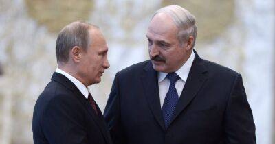 Владимир Путин - Александр Лукашенко - Зачем Путину травить Лукашенко. Две причины, почему Кремль мог невзлюбить главу Беларуси - focus.ua - Россия - Украина - Белоруссия