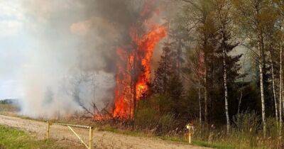 "Спасатели не могут потушить": в Эстонии на полигоне вспыхнул масштабный пожар (фото) - focus.ua - Украина - Италия - Эстония