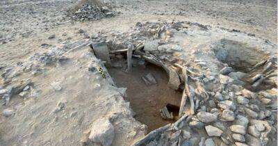 Переписывает историю человечества: найден доисторический ручной топор, которому 300 тыс. лет - focus.ua - Украина - Оман
