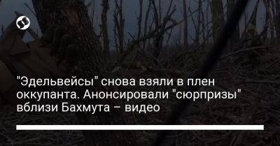 "Эдельвейсы" снова взяли в плен оккупанта. Анонсировали "сюрпризы" вблизи Бахмута – видео - liga.net - Украина