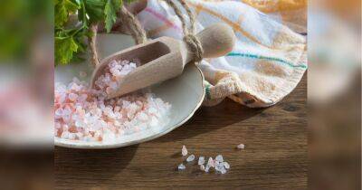 Отпугивайте муравьев: необычные способы использования поваренной соли в саду - fakty.ua - Украина