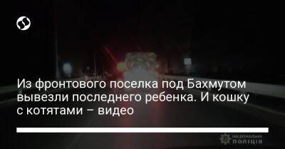 Из фронтового поселка под Бахмутом вывезли последнего ребенка. И кошку с котятами – видео - liga.net - Украина - район Бахмутский