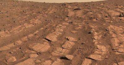 Марсоход Perseverance впервые обнаружил следы мощных потоков воды на Марсе (фото) - focus.ua - Украина