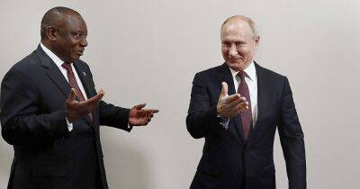 Сирил Рамафоса - Посол США извинился за то, что обвинил ЮАР в военной помощи России, — BBC - focus.ua - Россия - США - Украина - Юар - Кейптаун