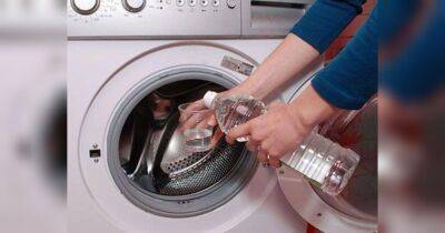 Покажите ей, что вы ее любите: какой регулярный уход нужен стиральной машине, чтобы она прослужила 30 лет - fakty.ua - Украина