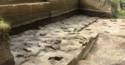 Раскопана капсула времени: в Германии обнаружены 300-тысячелетние следы человека — самые древние в мире - focus.ua - Украина - Германия - Иерусалим