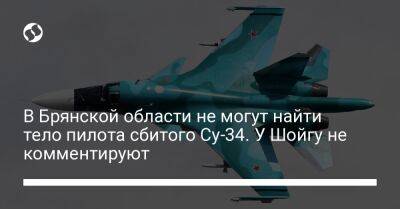 В Брянской области не могут найти тело пилота сбитого Су-34. У Шойгу не комментируют - liga.net - Россия - Украина - Крым - Брянская обл.