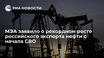 Александр Новак - МЭА: российский нефтяной экспорт в апреле стал самым высоким с февраля 2022 года - smartmoney.one - Россия - Китай - Турция - Венгрия - Индия - Болгария - Словакия