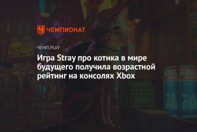 Игра Stray про милого котика в мире киберпанка может выйти на консолях Xbox - championat.com