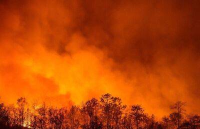 Пострадавшие от пожаров в Кургане начали получать страховые выплаты - afanasy.biz - Россия - Курганская обл.