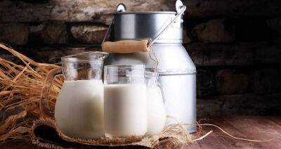 Сельхозпредприятия Брестчины с начала года нарастили производство молока на 8,2 % - produkt.by - Белоруссия - район Столинский