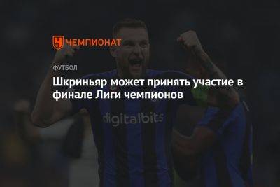Милан Шкриньяр - Шкриньяр может принять участие в финале Лиги чемпионов - championat.com - Стамбул