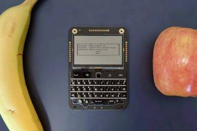 Beepberry — карманный компьютер «‎для хакеров» с клавиатурой Blackberry, разработанный основателем Pebble - itc.ua - Украина