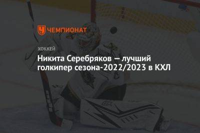 Никита Серебряков - Никита Серебряков — лучший голкипер сезона-2022/2023 в КХЛ - championat.com