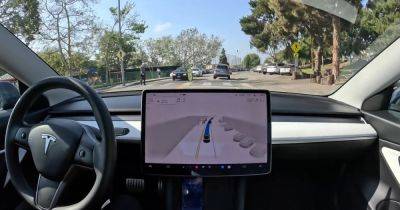 Илон Маск - Восстание машин: автопилот Tesla проигнорировал пешехода прямо на переходе (видео) - focus.ua - Украина - Сан-Франциско - шт. Калифорния