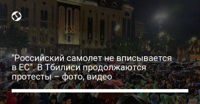 Рикард Йозвяк - "Российский самолет не вписывается в ЕС". В Тбилиси продолжаются протесты – фото, видео - liga.net - Москва - Россия - Украина - Крым - Грузия - Тбилиси