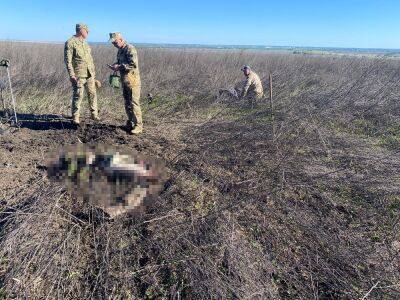 Олег Синегубов - Полиция показала поле на Изюмщине, где погибли от подрыва двое мужчин (фото) - objectiv.tv - Украина - Харьковская обл. - район Изюмский