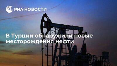 Реджеп Тайип Эрдоган - Президент Эрдоган сообщил об обнаружении новых месторождений нефти на юго-востоке Турции - smartmoney.one - Турция - Курдистан