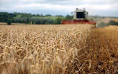 ЕК запретила импорт отдельных агротоваров из Украины - korrespondent.net - Украина - Румыния - Венгрия - Польша - Болгария - Словакия - Аграрии - Запрет - Продовольствие