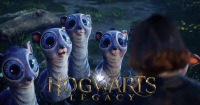 Гарри Поттер - Нюхлеры и пушишки: где в Hogwarts Legacy обитают фантастические твари и как их поймать - focus.ua - Украина
