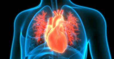 Научный прорыв. Ученые определили причину повреждения сердца при лечении рака - focus.ua - Украина - Англия - Лондон