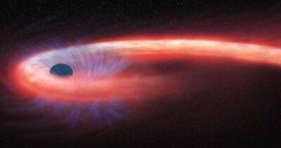 На глазах у Земли съели звезду: самая близкая к планете черная дыра проглотила светило (фото) - focus.ua - США - Украина