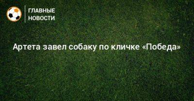 Микель Артета - Артета завел собаку по кличке «Победа» - bombardir.ru