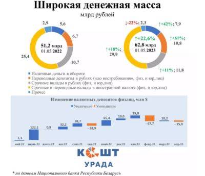 Тревожное ожидание: о чем говорит рост наличных денег в белорусской экономике - udf.by - Белоруссия