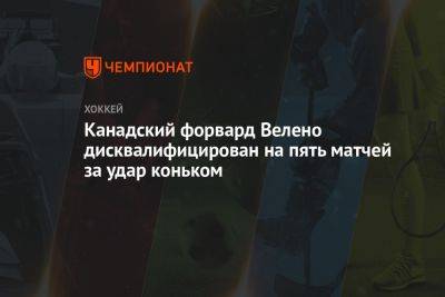 Канадский форвард Велено дисквалифицирован на пять матчей за удар коньком - championat.com - Норвегия - Швейцария - Канада - Чехия