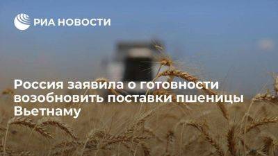 Дмитрий Медведев - Секретариат Медведева заявил о готовности России возобновить поставки пшеницы Вьетнаму - smartmoney.one - Россия - Вьетнам - Ханой