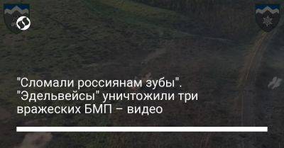 Александр Сырский - "Сломали россиянам зубы". "Эдельвейсы" уничтожили три вражеских БМП – видео - liga.net - Украина