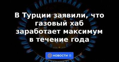 Владимир Путин - В Турции заявили, что газовый хаб заработает максимум в течение года - smartmoney.one - Россия - Турция - Иран - Анкара - Азербайджан - Персия - Стамбул