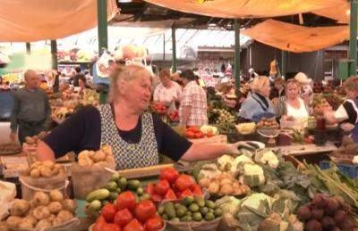 Цены на популярный овощ снова побьют рекорды: что станет менее доступным для украинцев - politeka.net - Украина - Польша - Голландия