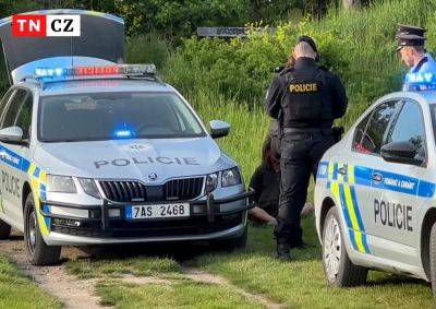 В Праге мужчина с железным прутом нападал на прохожих в парке - vinegret.cz - Чехия - Прага