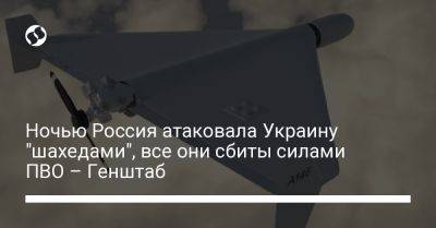 Ночью Россия атаковала Украину "шахедами", все они сбиты силами ПВО – Генштаб - liga.net - Россия - Украина - Запорожская обл. - Харьковская обл.