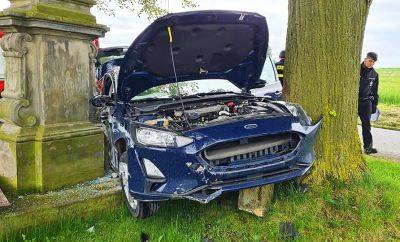 Ford - В Чехии водитель разбил машину, объезжая вышедшего на дорогу ежа - vinegret.cz - Чехия