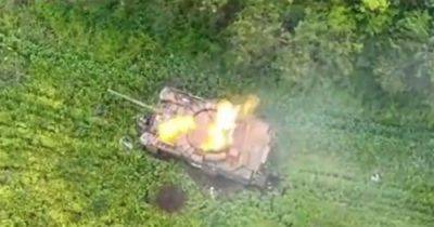 Разорвало на куски: дрон ВСУ уничтожил танк Т-80БВМ под Угледаром (видео) - focus.ua - Россия - Украина - Донецкая обл.