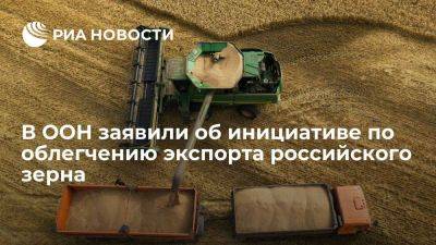 Владимир Путин - Дмитрий Патрушев - Глава ЮНКТАД Гринспан: ООН и Афрэксимбанк пытаются облегчить экспорт зерна из России - smartmoney.one - Москва - Россия - Киев - Турция - Анкара - Одесса - Стамбул