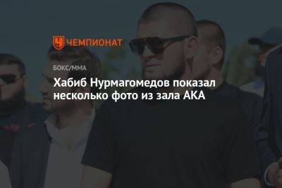 Хабиб Нурмагомедов - Джастин Гэтжи - Хабиб Нурмагомедов показал несколько фото из зала AKA - championat.com - США - шт. Калифорния - Сан-Хосе